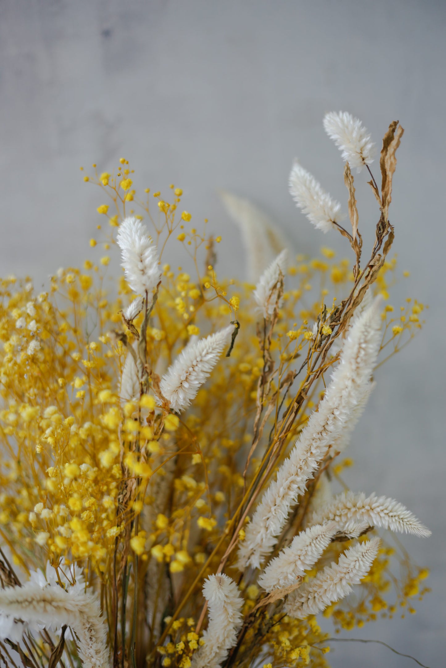 Ramo de flores preservadas amarillo