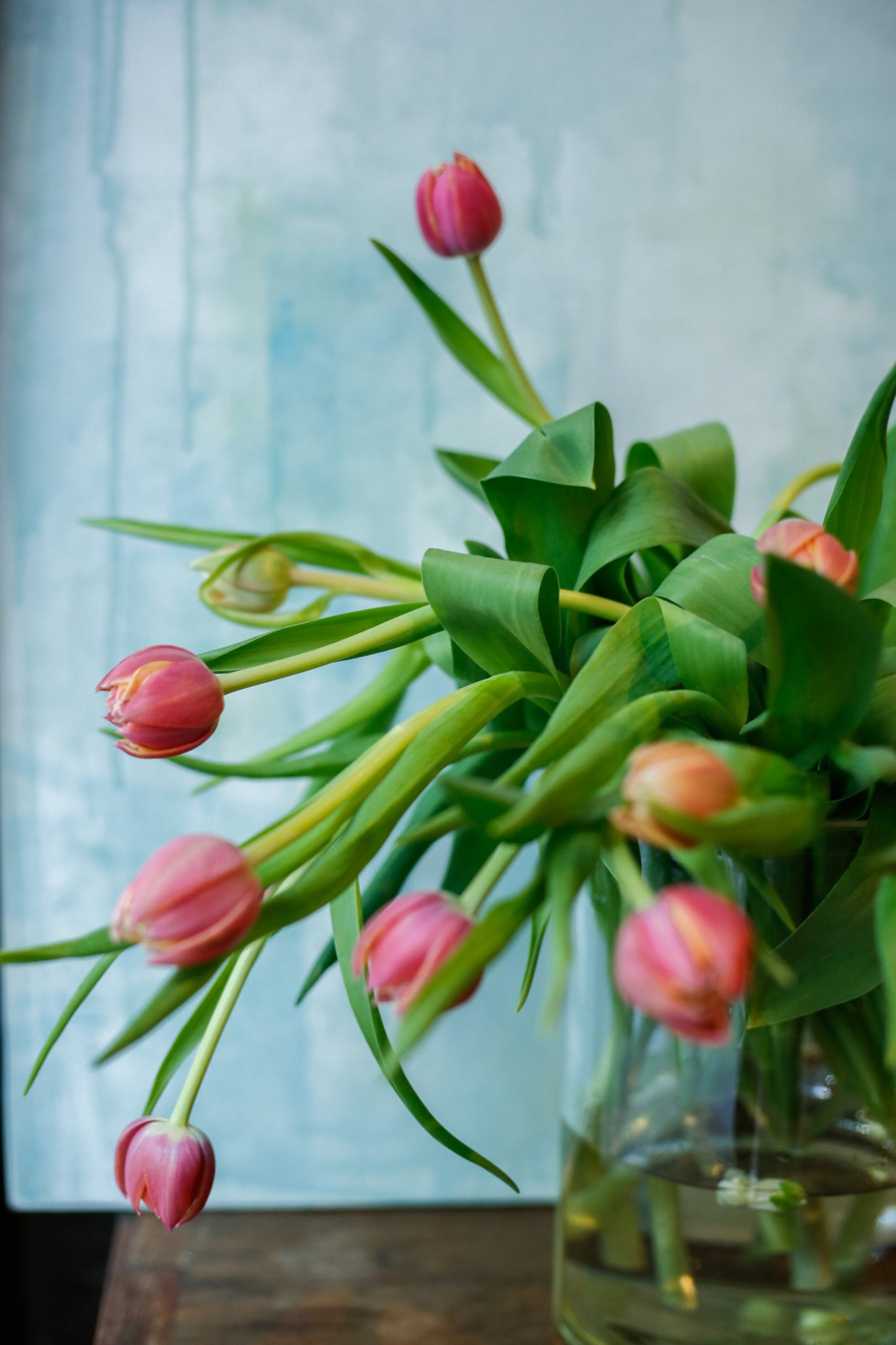 Ramo de tulipanes rosas - Envío nacional