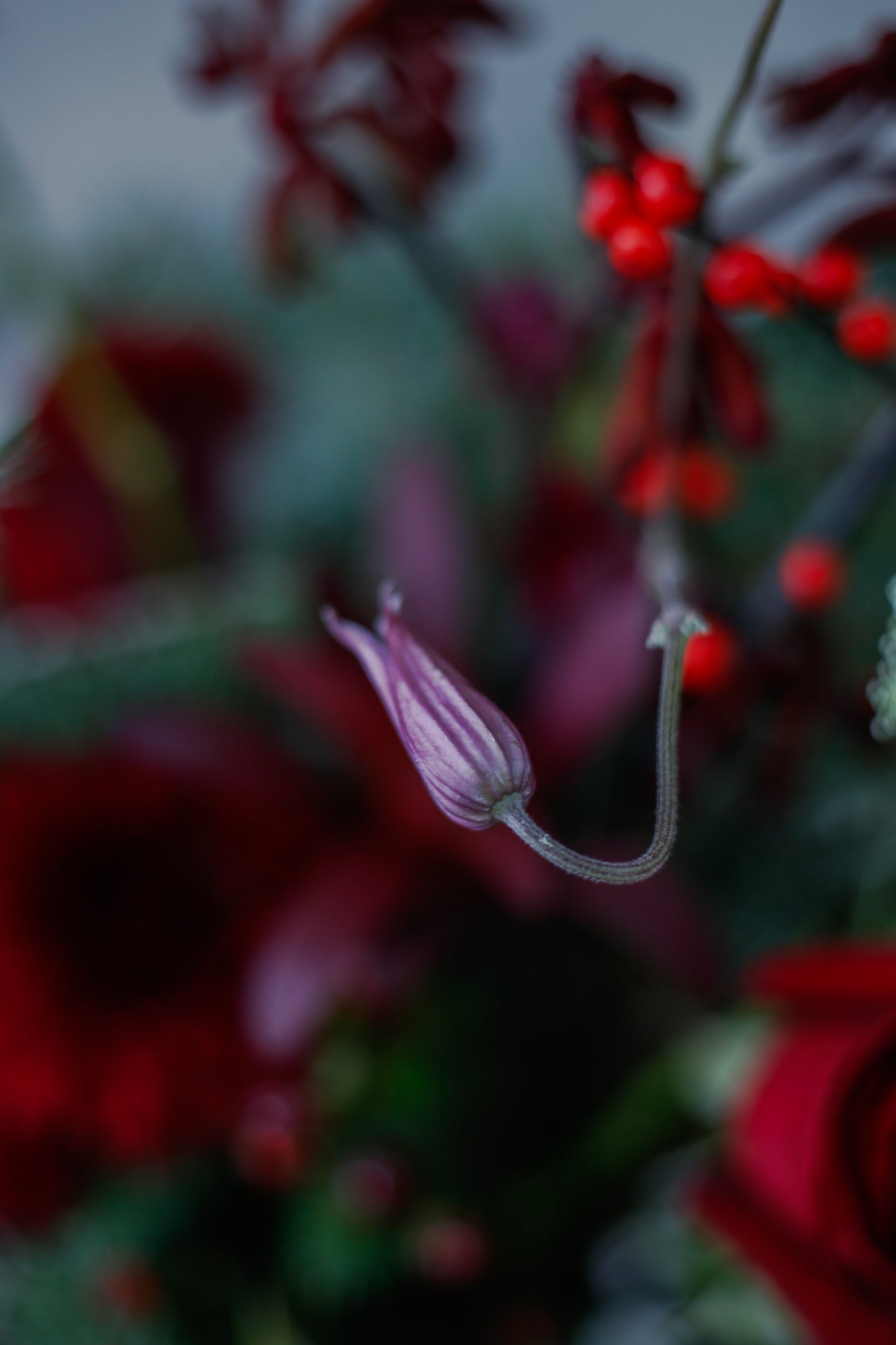 Arreglo de flores navideñas Deluxe