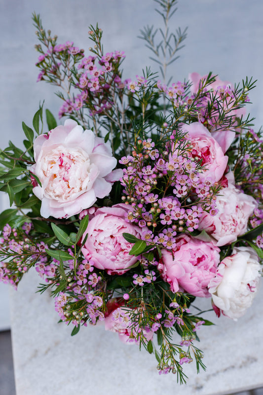 Peonías rosas en jarrón