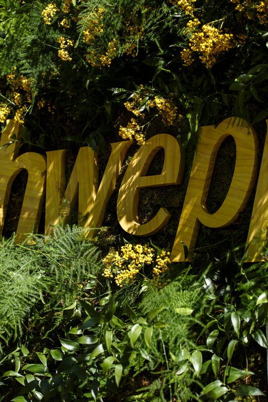 Schweppes x WOZERE