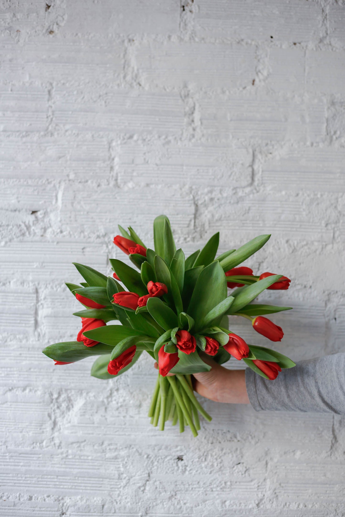Ramo de 20 tulipanes rojos