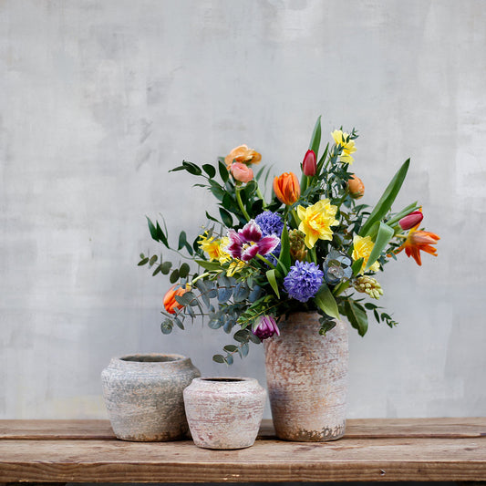 Bulbos de temporada en jarrón rústico