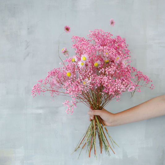 Ramo de flores preservadas fucsia