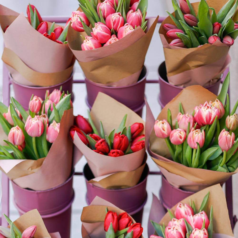 Ramo de tulipanes rosas - Envío nacional