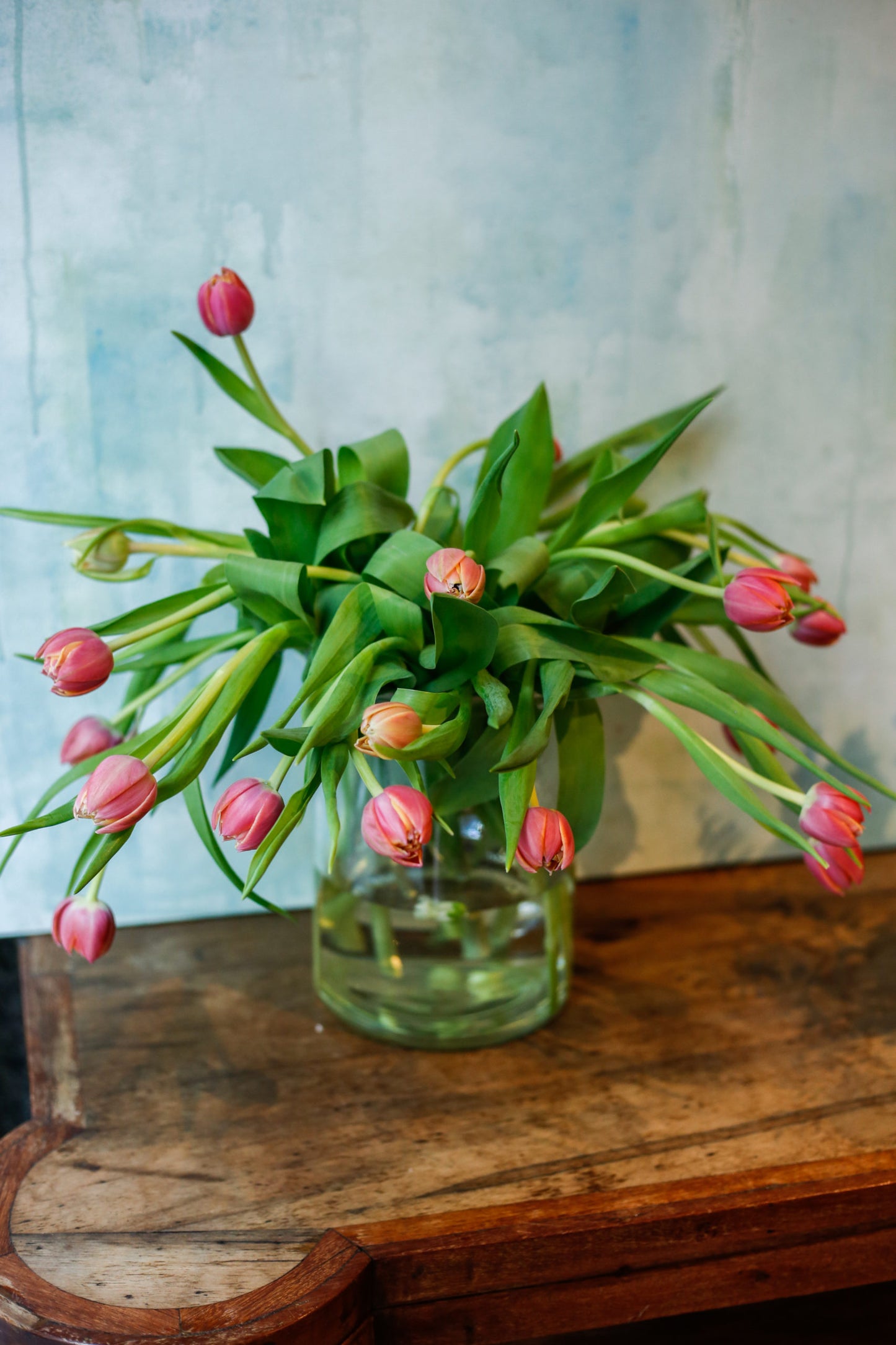 Ramo de tulipanes rosas - Envío nacional