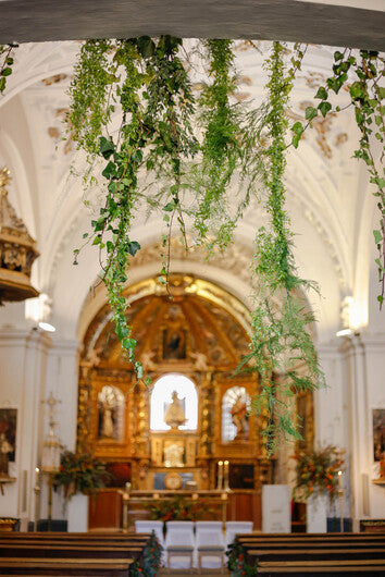 Imagen 17