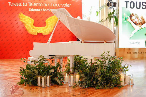 Imagen 6