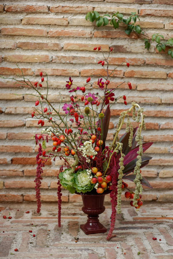 Imagen 13