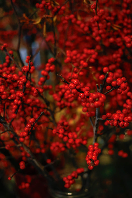 Ramo Navideño - Envío nacional