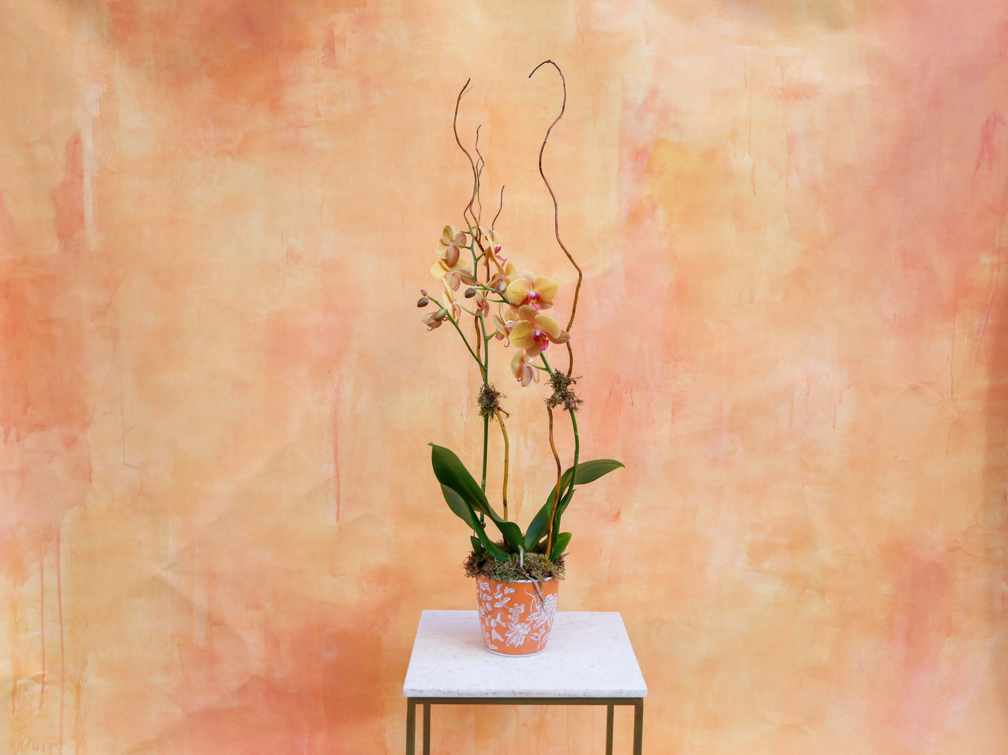 Orquídea en maceta naranja