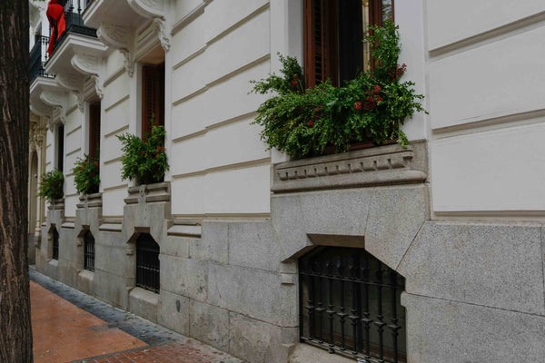 Imagen 8