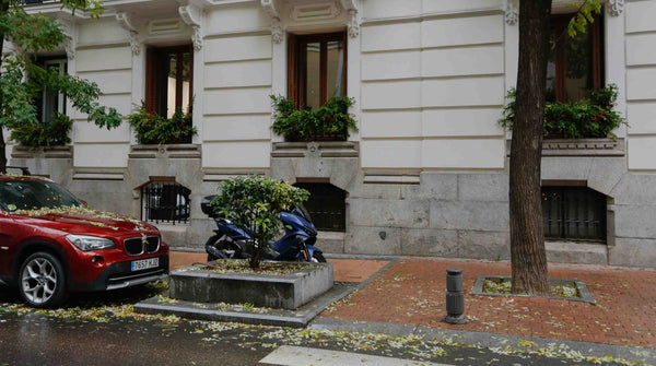 Imagen 6