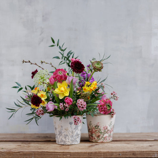 Bulbos de temporada en maceta print