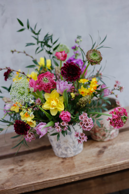 Bulbos de temporada en maceta print