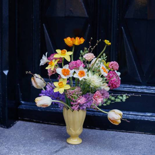 Bulbos en jarrón tulipán