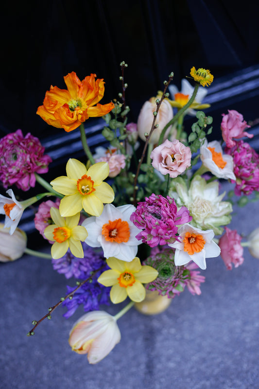 Bulbos en jarrón tulipán