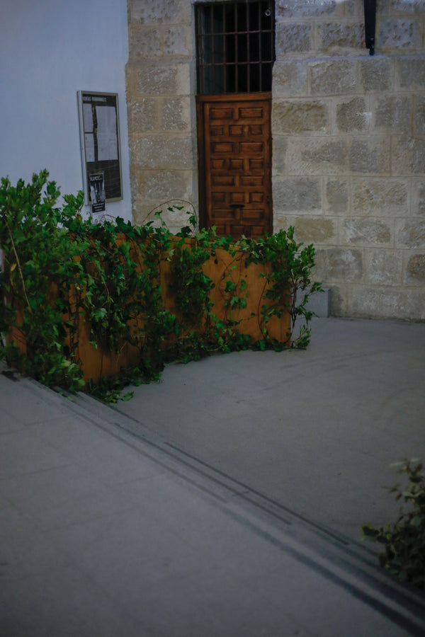 Imagen 26