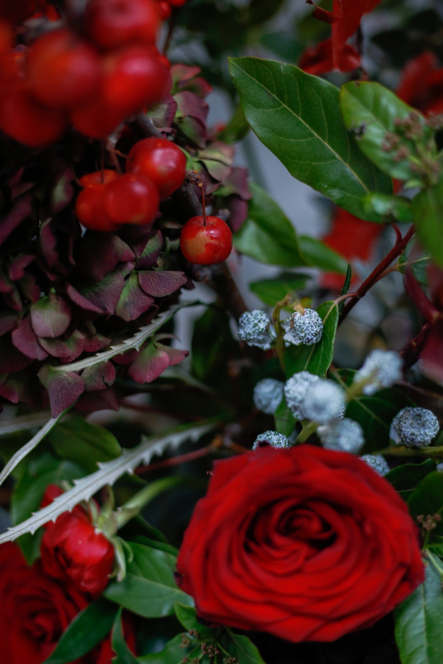 Tarjeta regalo BRUMALIS