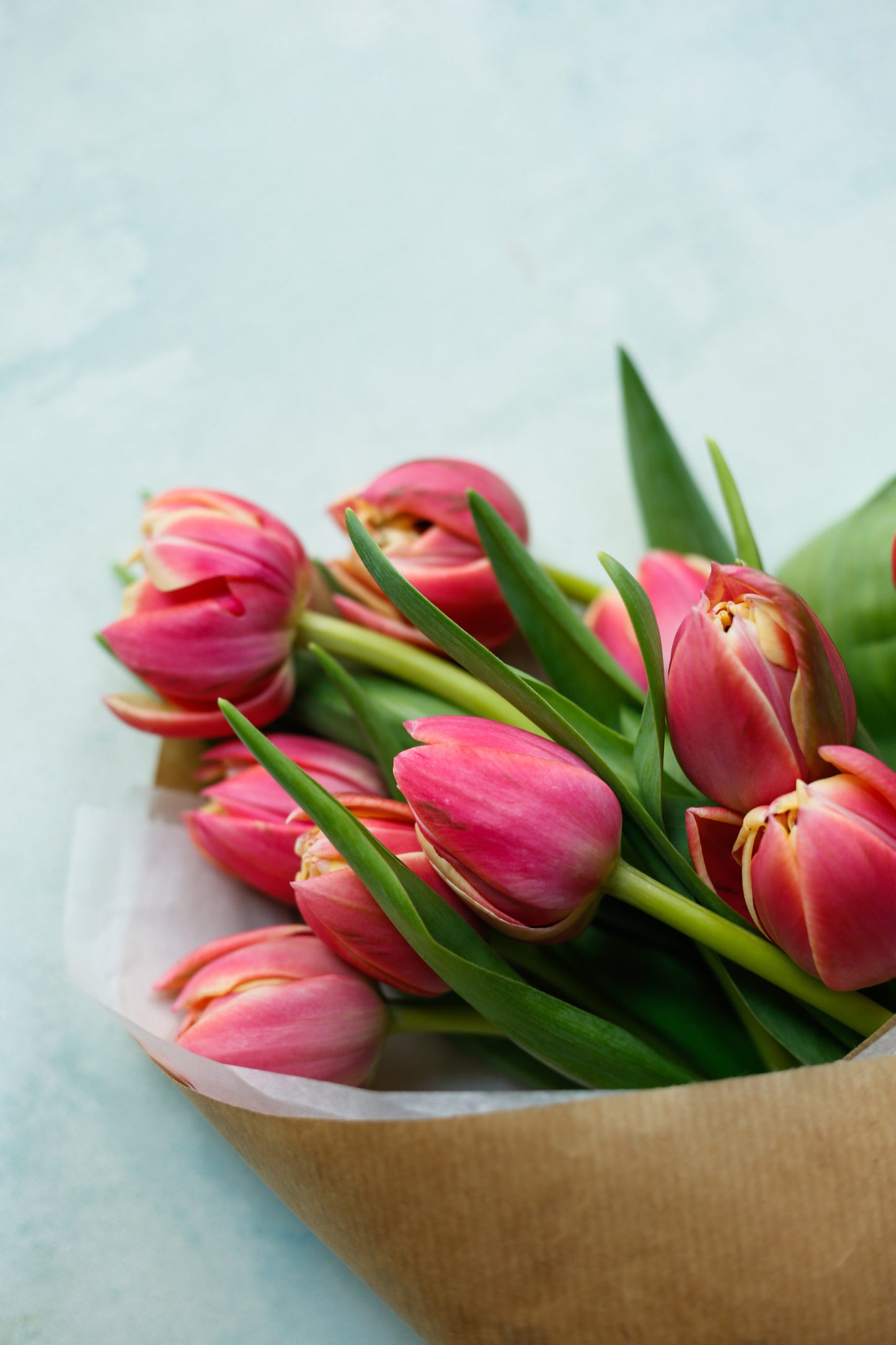 Ramo de tulipanes rosas - Envío nacional