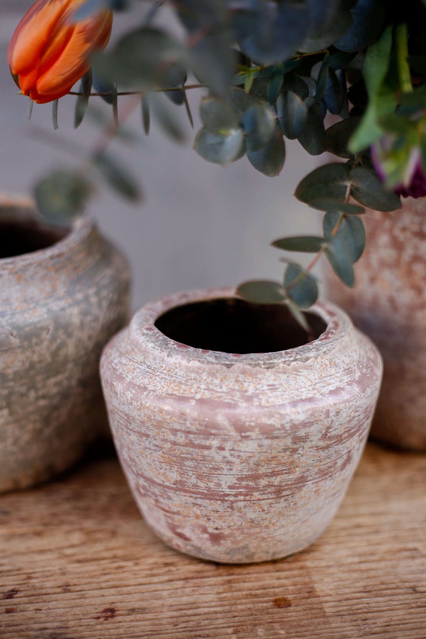 Bulbos de temporada en jarrón rústico