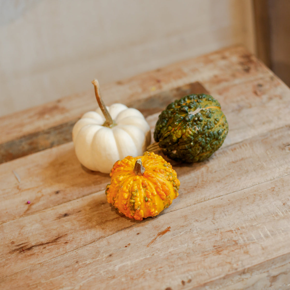 Pack de 3 calabacitas naturales