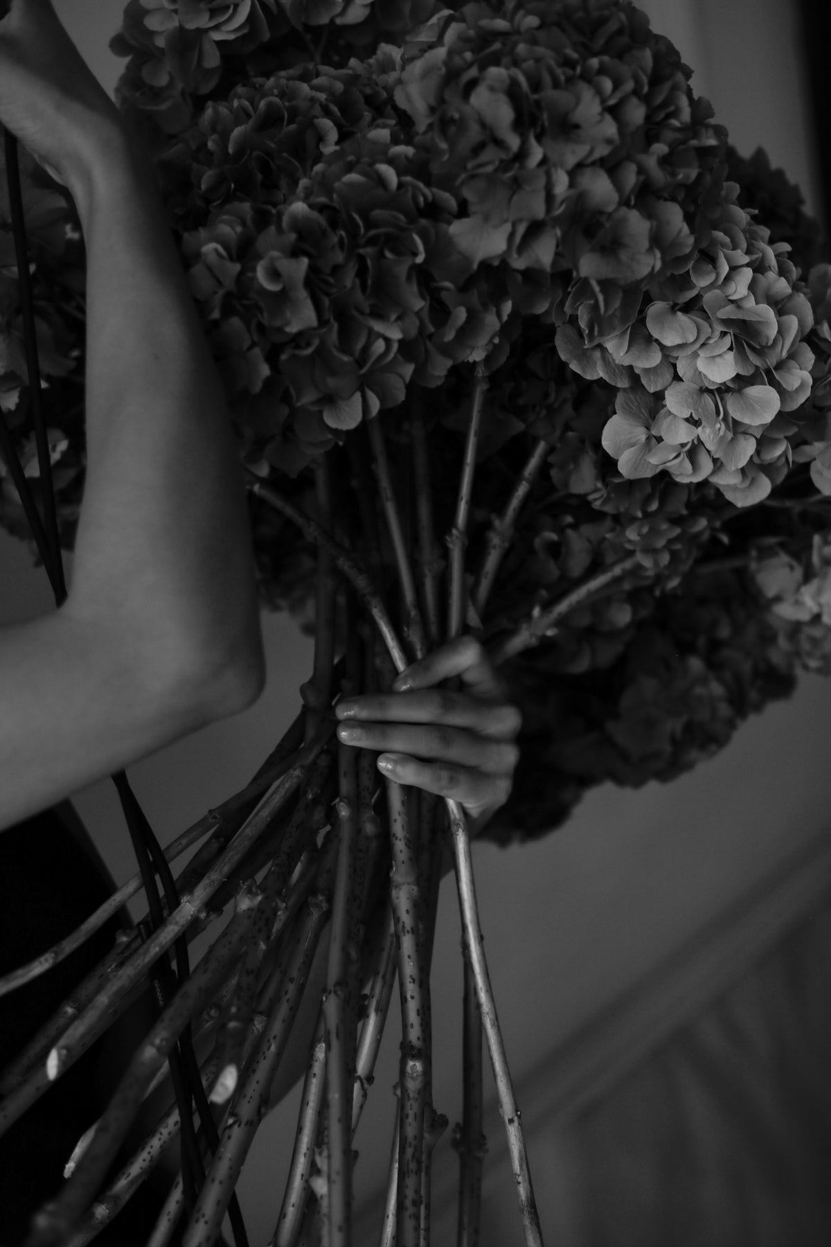 Ramo de Hortensias
