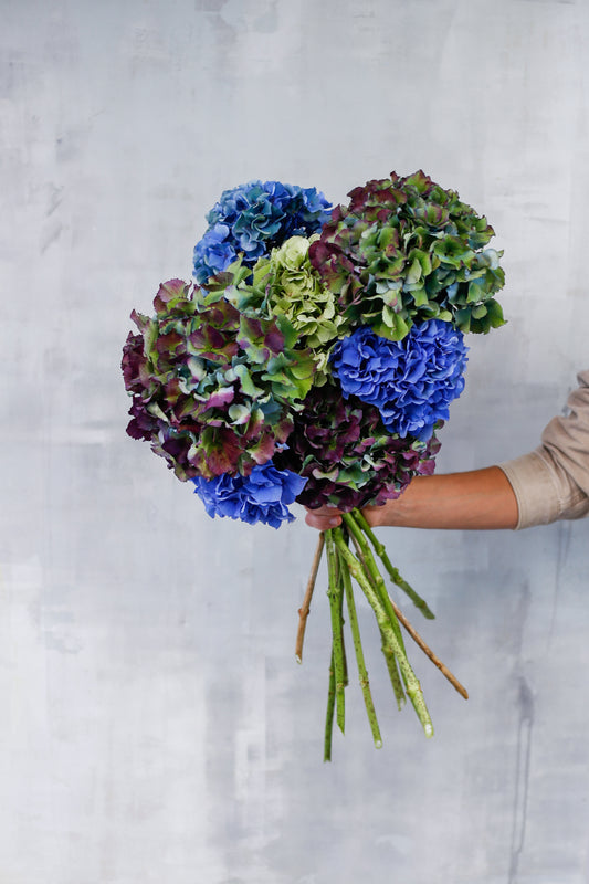 Ramo de Hortensias