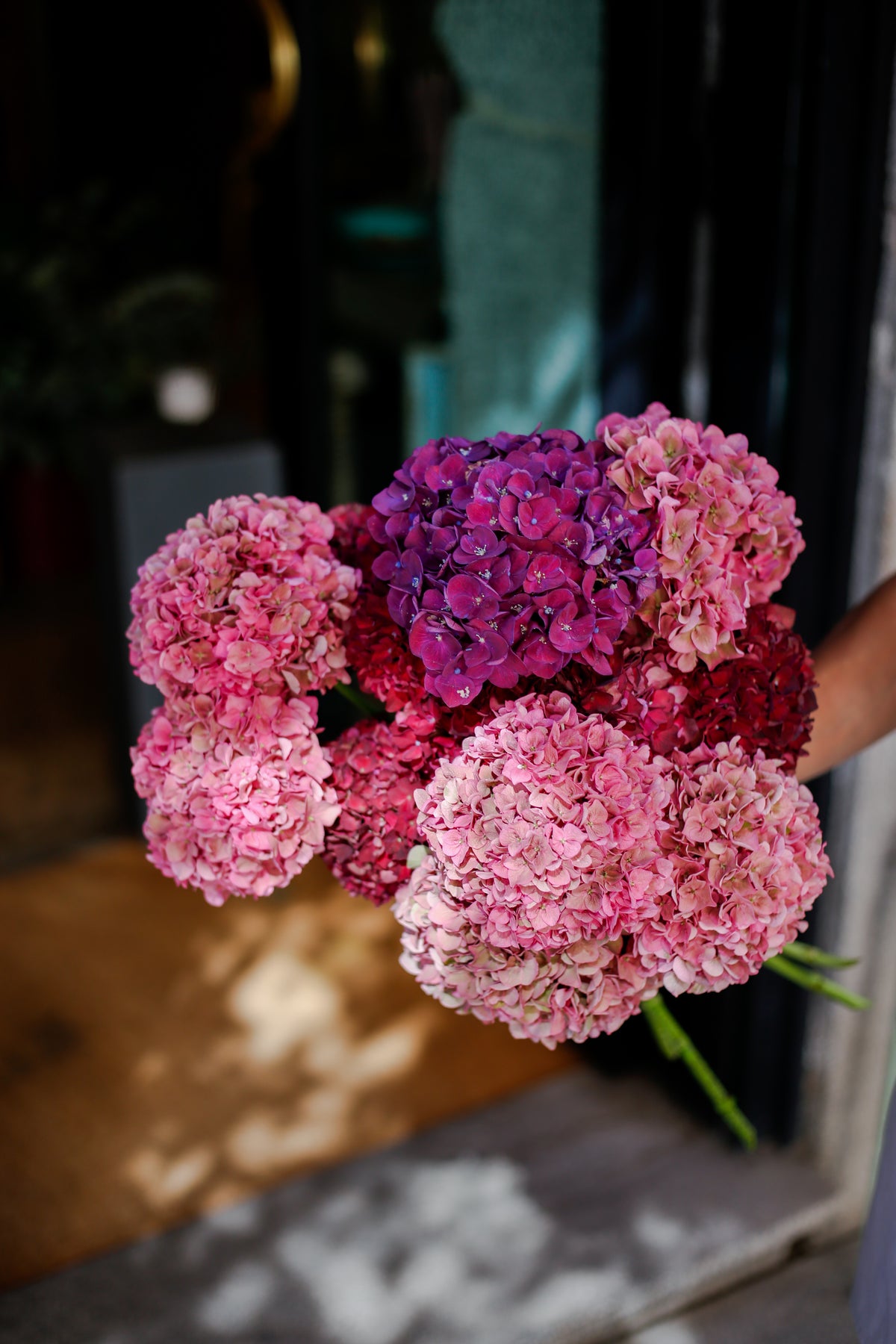 Ramo de Hortensias