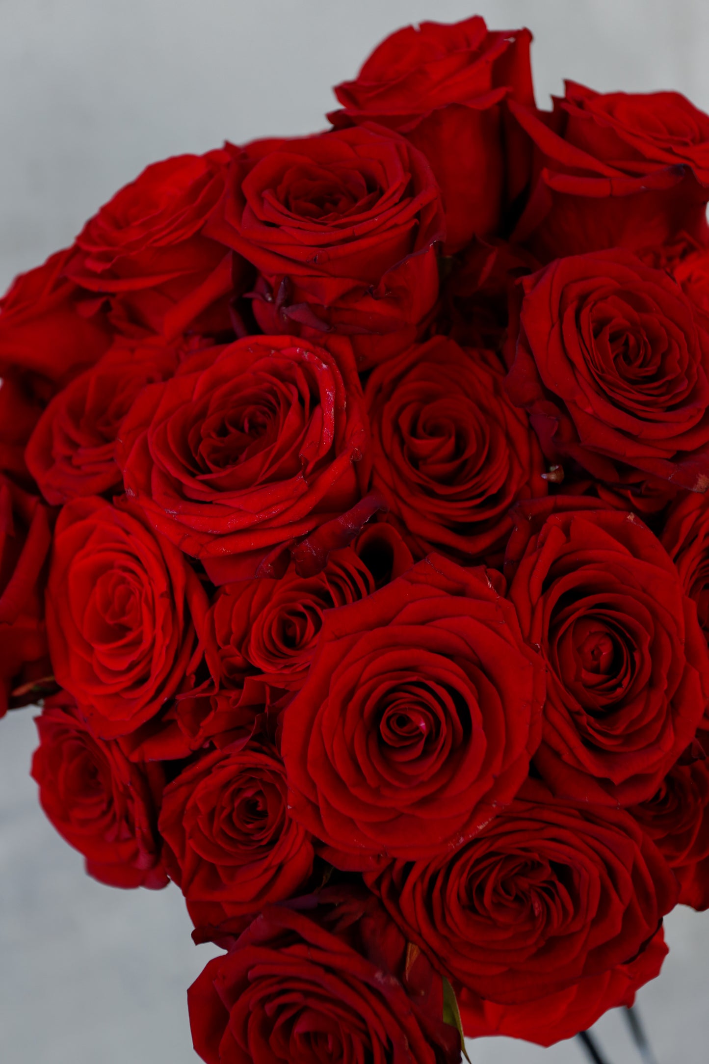 Ramo de Rosas Deluxe