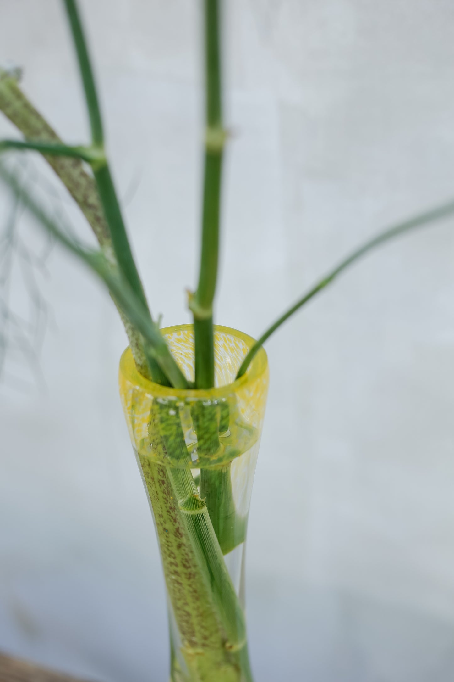 Jarrón Colaboración Brumalis × Hotel Ritz × Real Fábrica de Cristales La Granja — Edición Pequeña con Flores