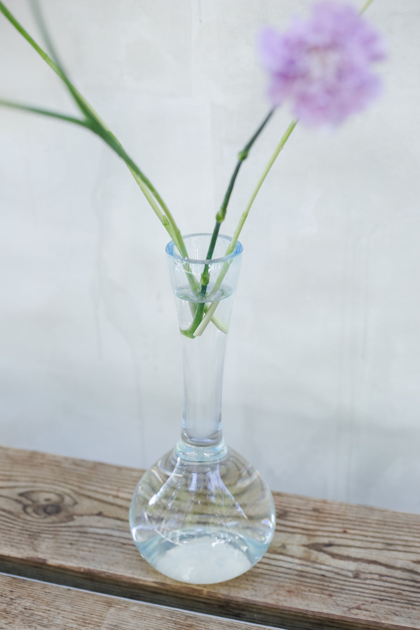 Jarrón Colaboración Brumalis × Hotel Ritz × Real Fábrica de Cristales La Granja — Edición Pequeña con Flores