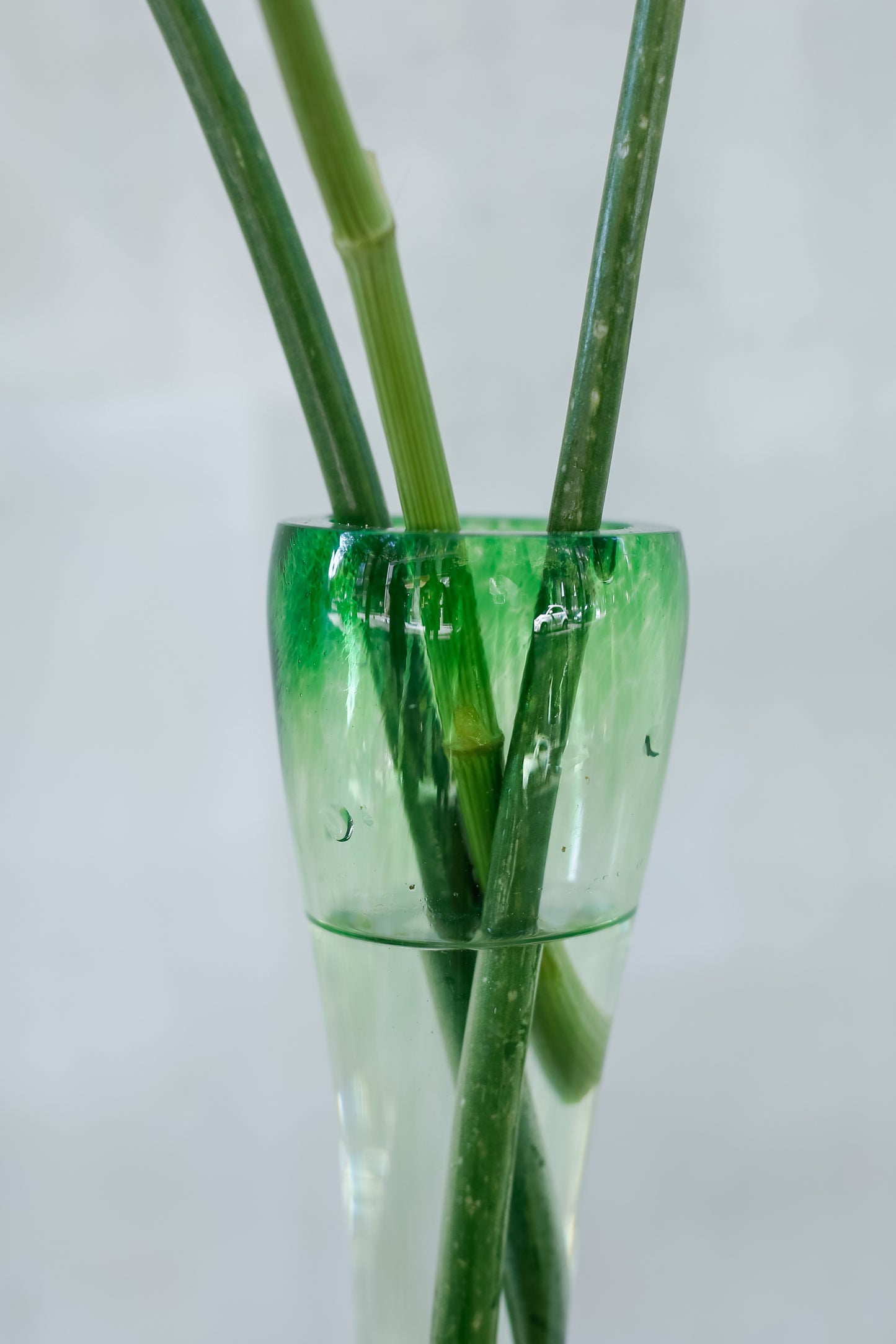 Jarrón Colaboración Brumalis × Hotel Ritz × Real Fábrica de Cristales La Granja — Edición Pequeña con Flores