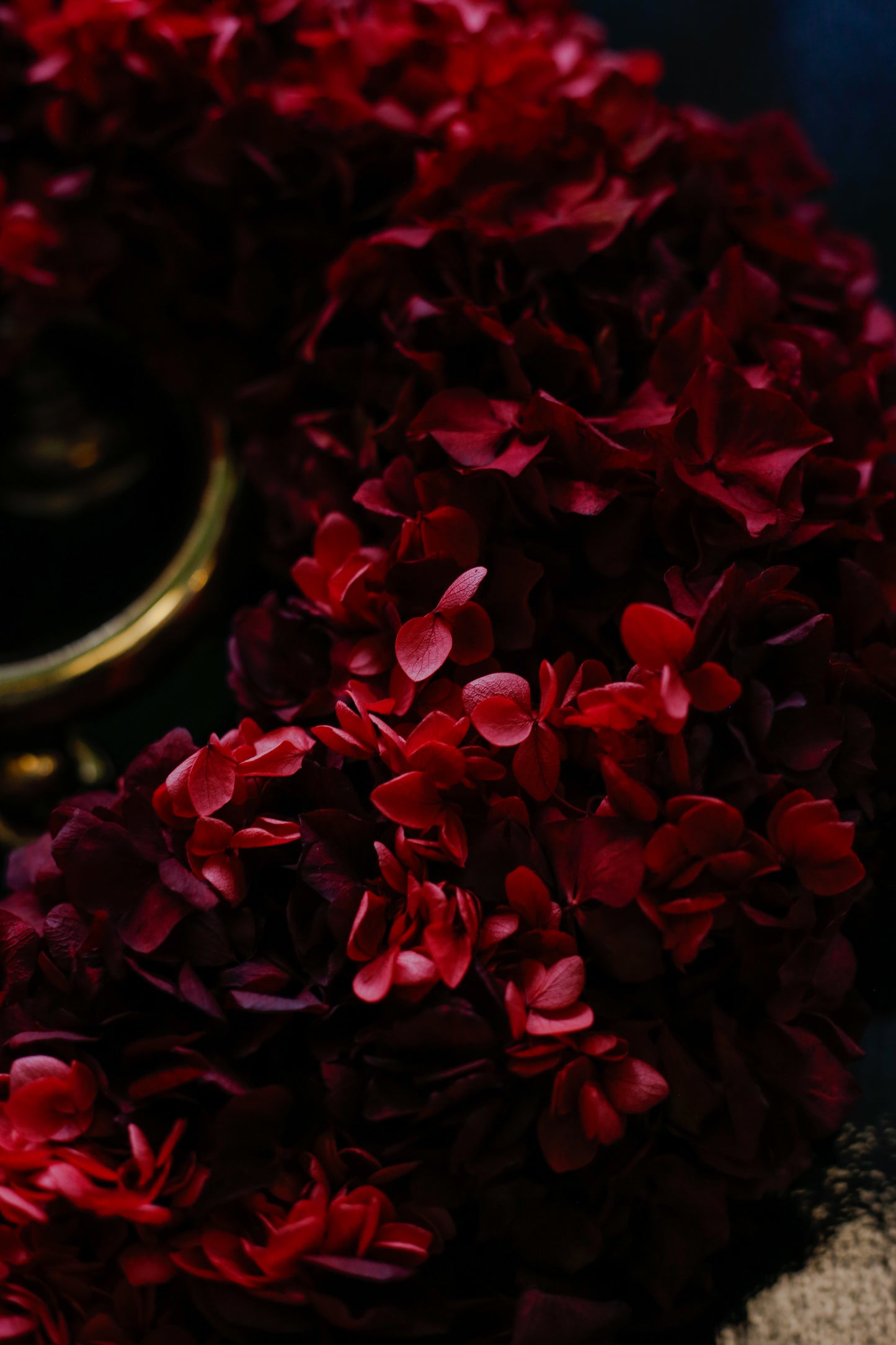 Corona de Navidad hortensias preservadas