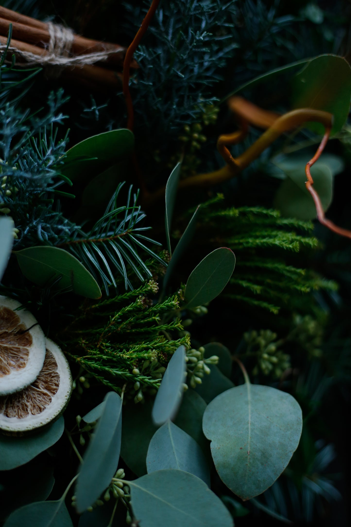 Corona de Navidad herbal