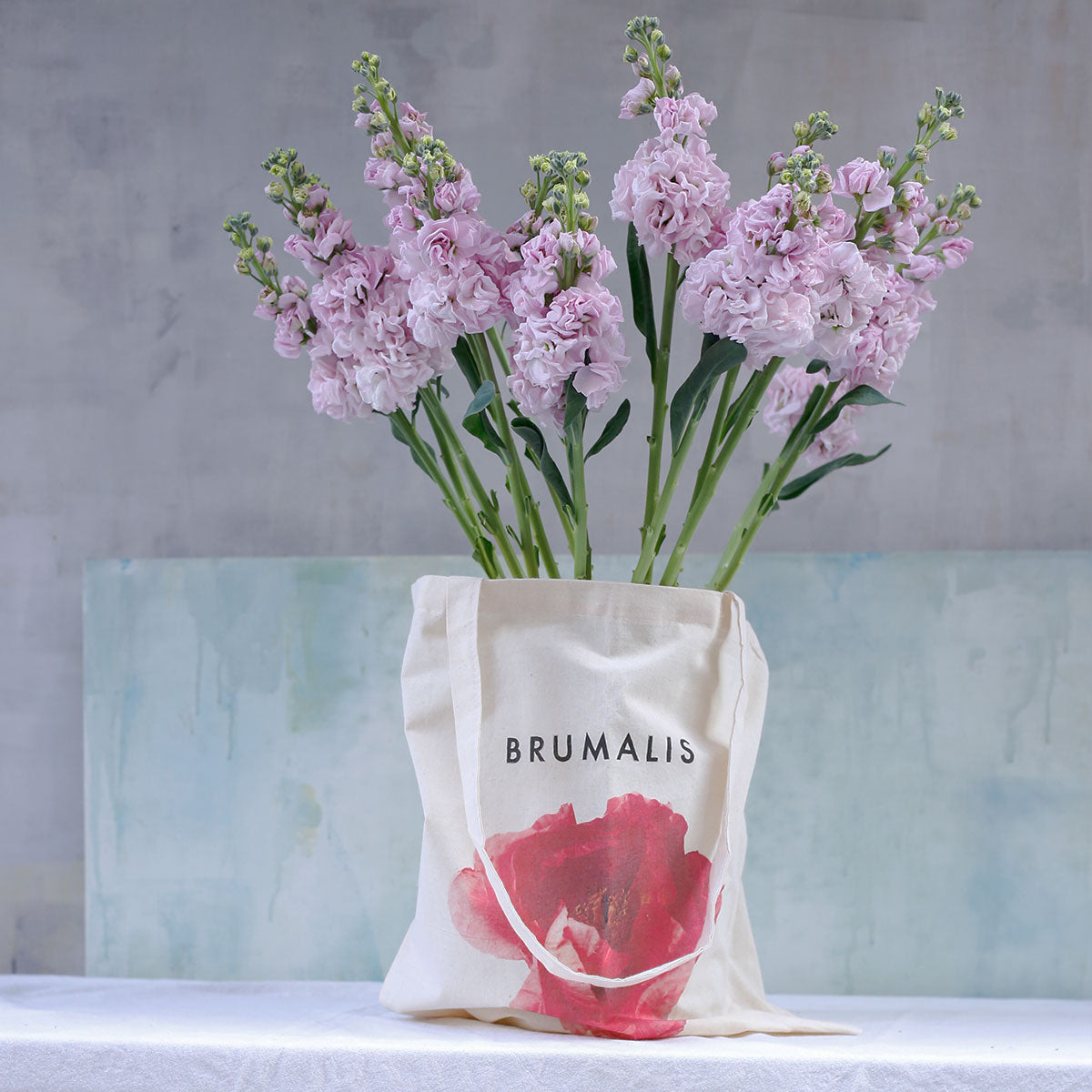 Bolsa de algodón BRUMALIS