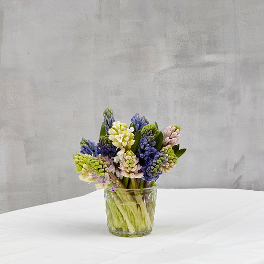 Jacintos en jarrón de vidrio