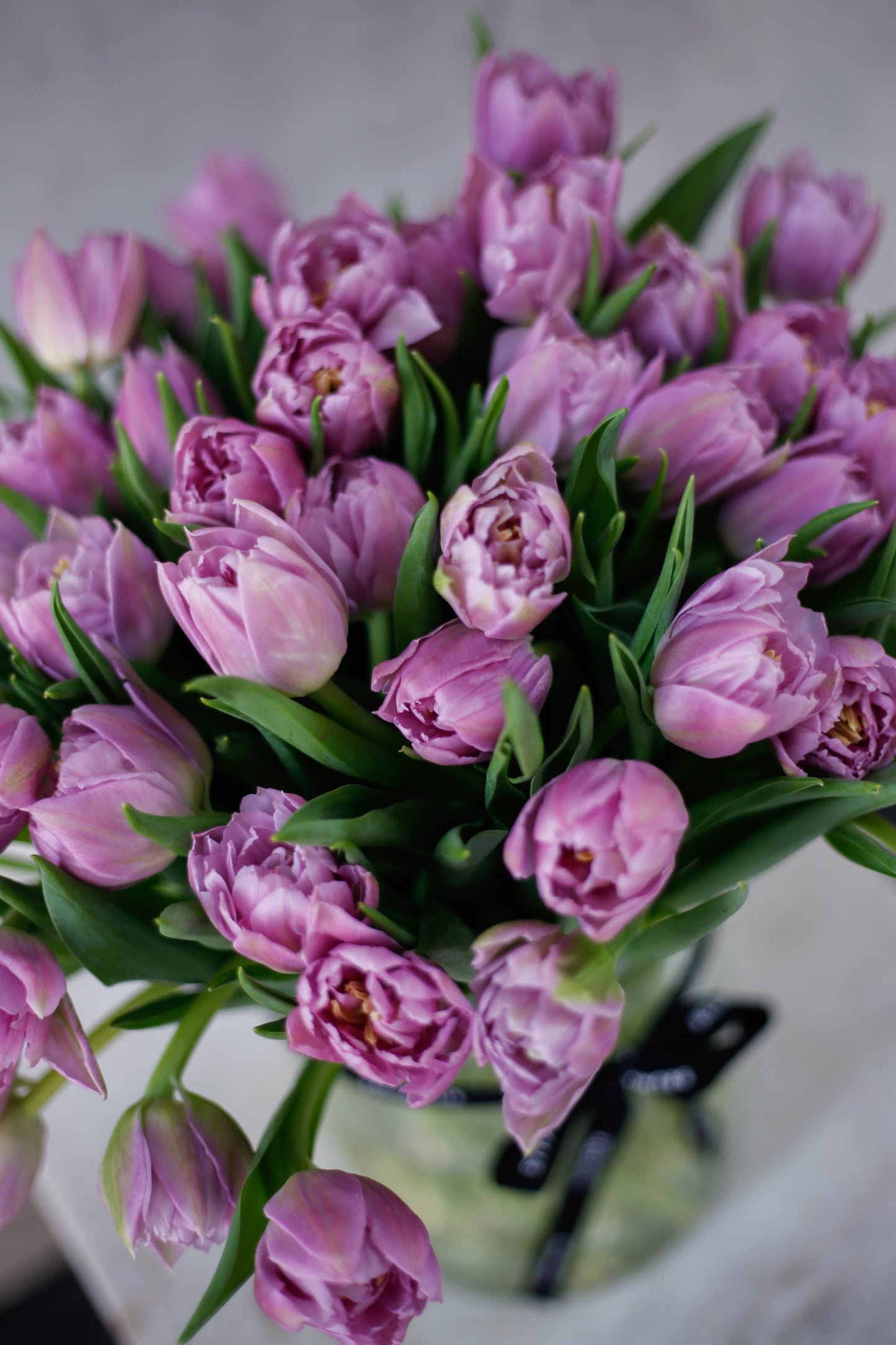 Tulipanes morados en jarrón